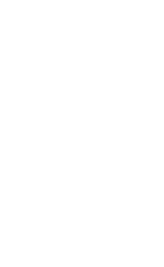 Corporación Amigos de Panguipulli